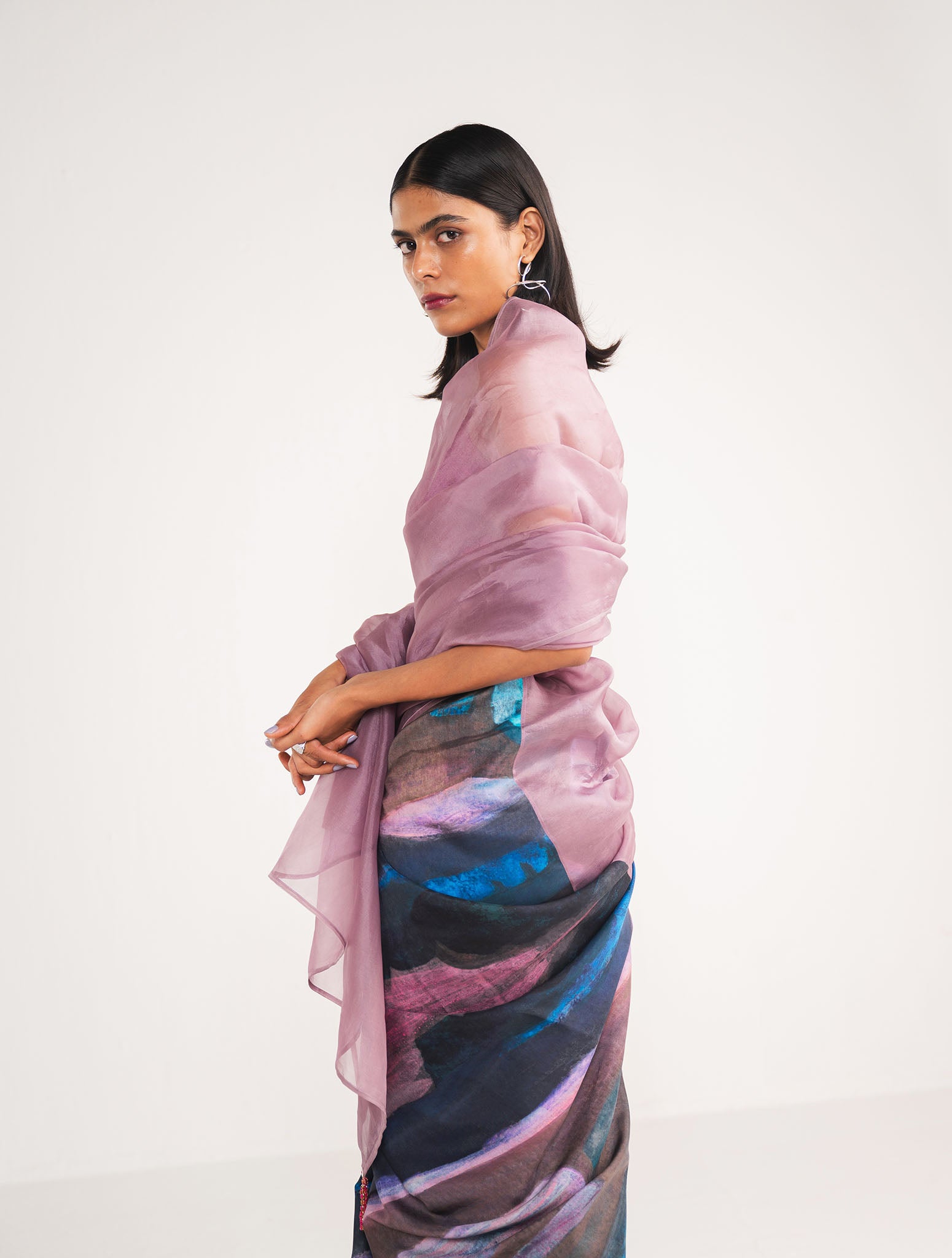 Prismatic Organza Saree