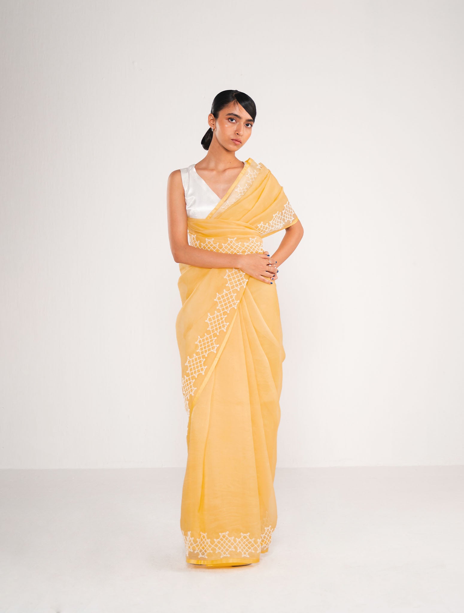 Sky Fire Organza Saree