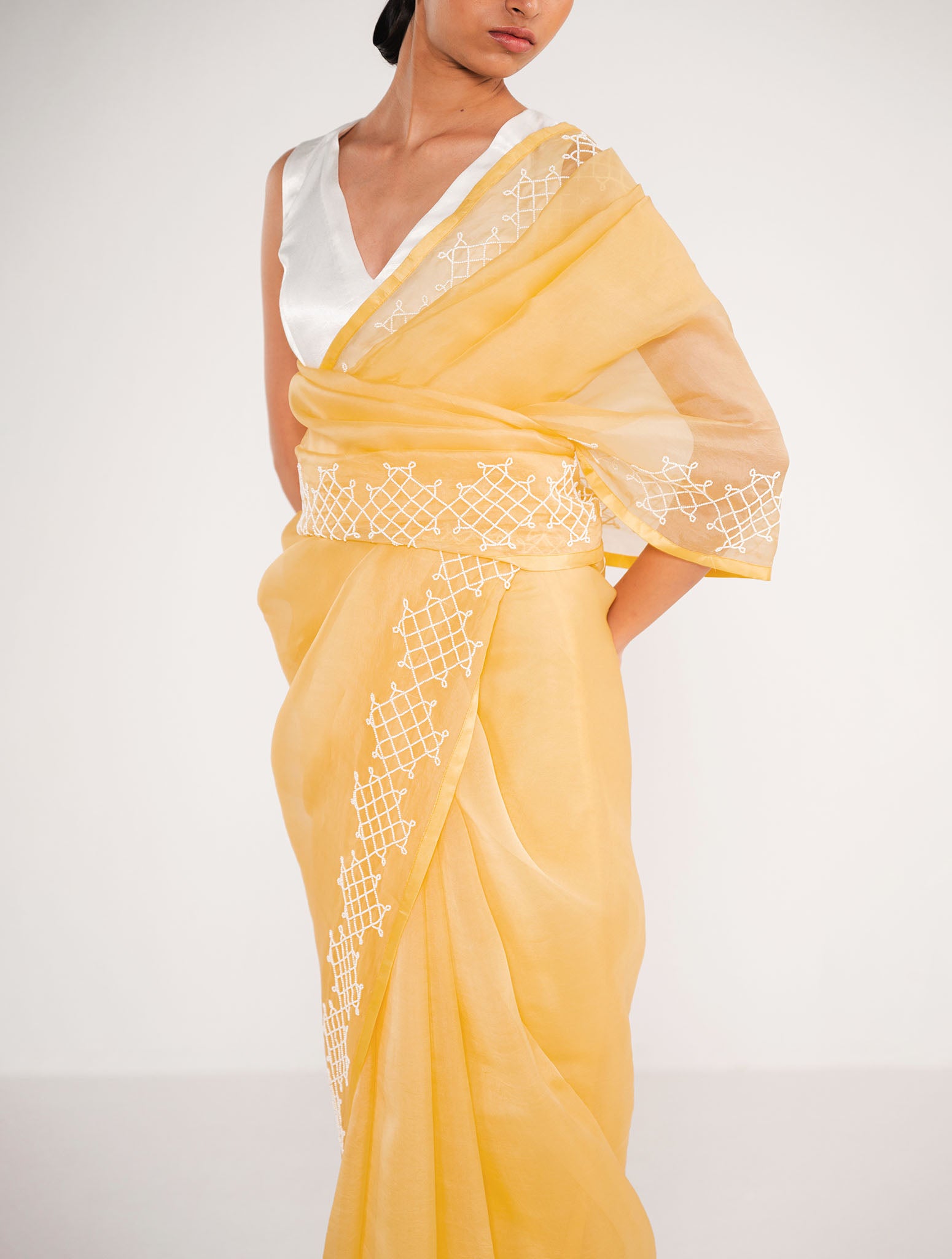 Sky Fire Organza Saree