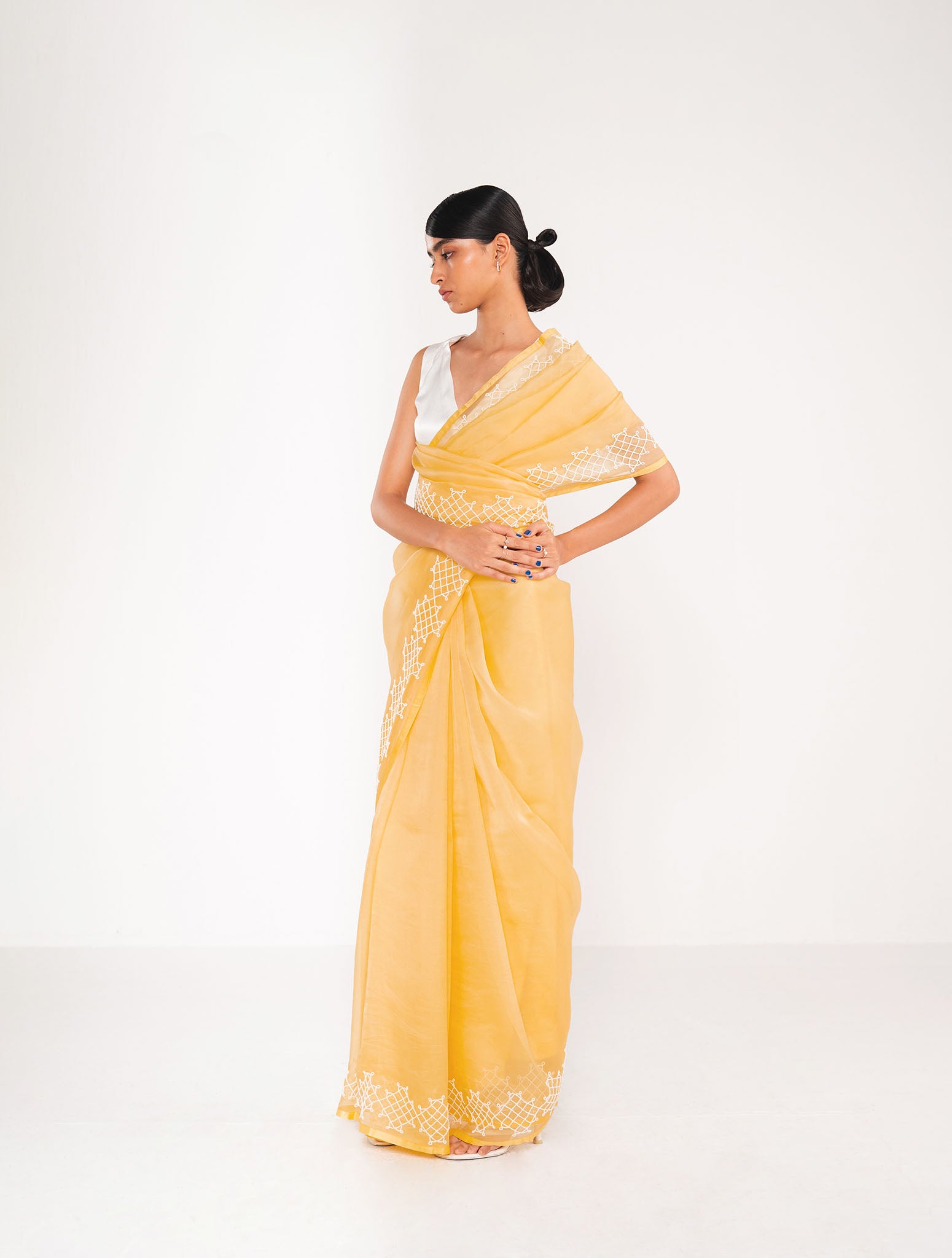 Sky Fire Organza Saree